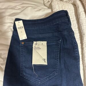 Anthropologie Pilcro The Icon: Low Rise Flare Jeans